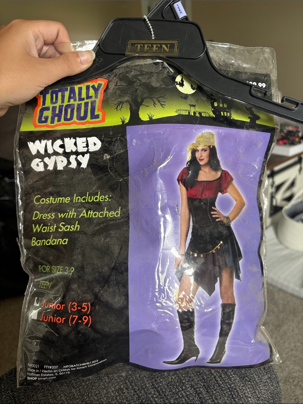 Totally Ghoul Wicked Gypsy Kids Costume - Black & Red